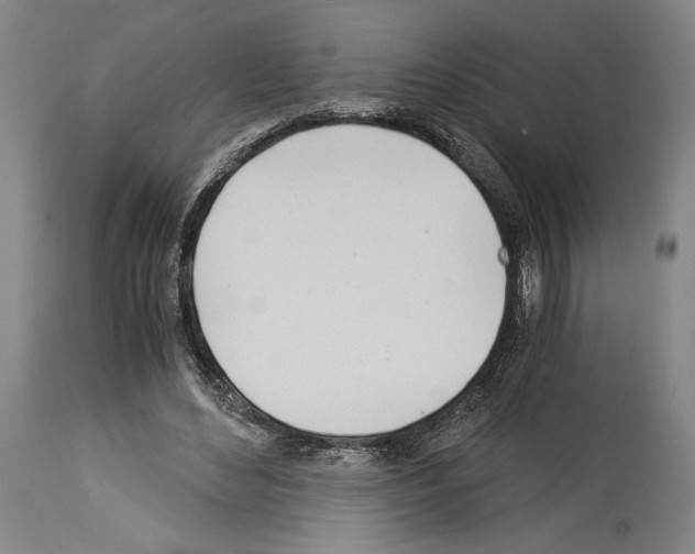 X0000113990492200911131121