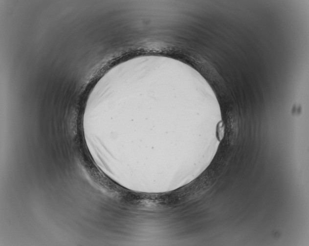 X0000113990496200911131121