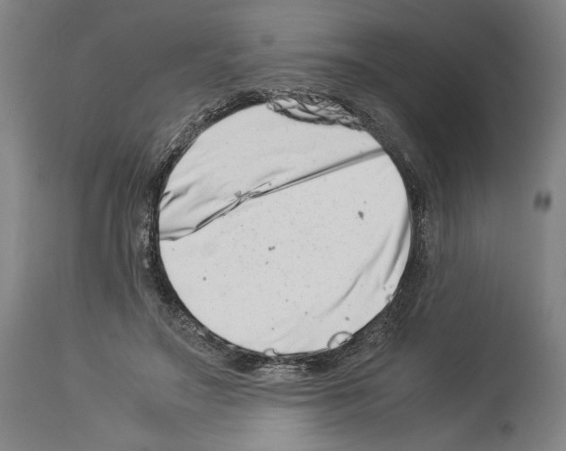 X0000113990499200911131121