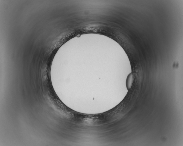 X0000113990504200911131121