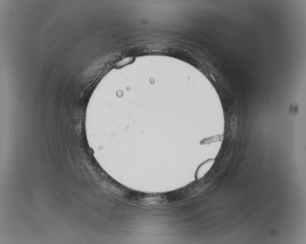 X0000113990505200911131121