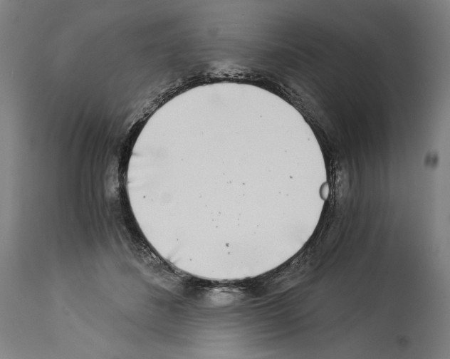 X0000113990508200911131121