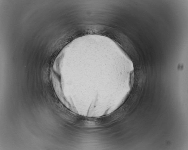 X0000113990510200911131121