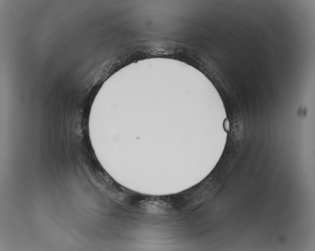 X0000113990512200911131121