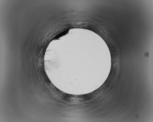 X0000113990515200911131121