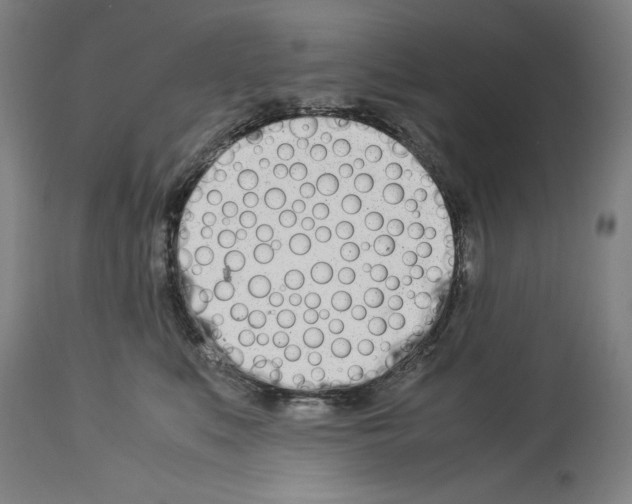 X0000113990519200911131121