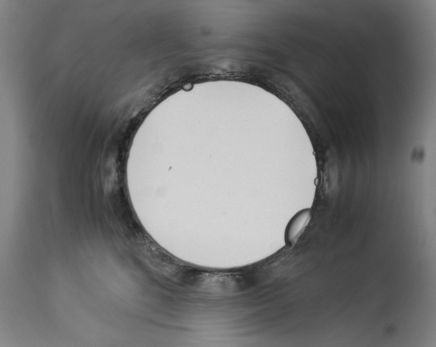 X0000113990520200911131121