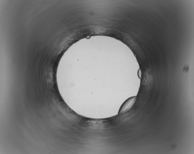 X0000113990524200911131121