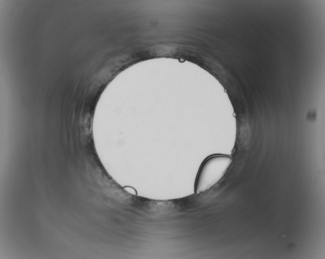 X0000113990525200911131121