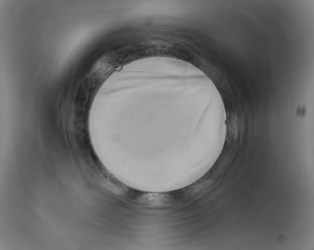 X0000113990526200911131121