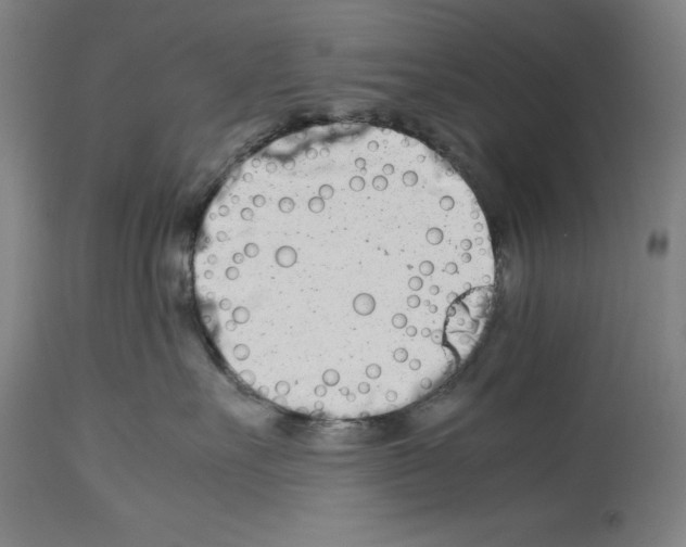 X0000113990527200911131121