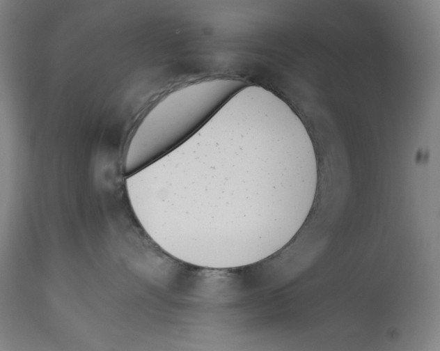 X0000113990528200911131121