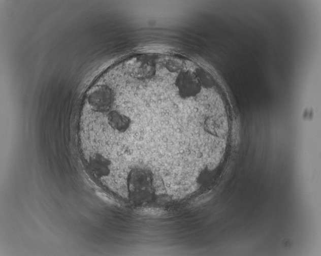 X0000113990529200911131120