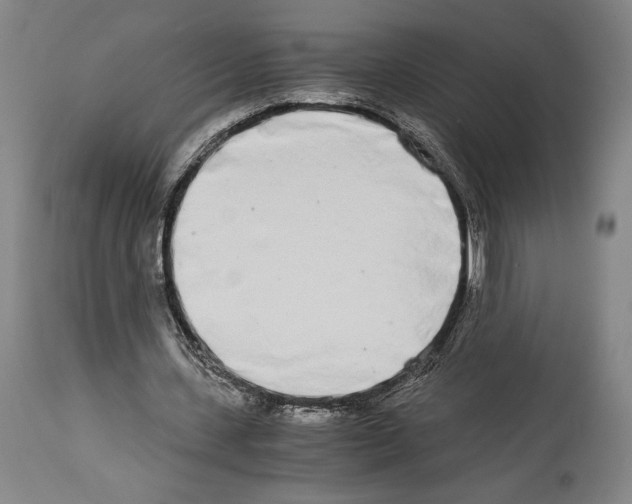 X0000113990531200911131120