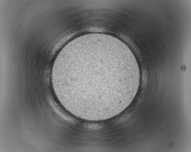 X0000113990533200911131120