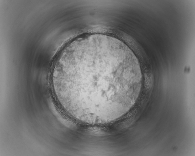 X0000113990534200911131120