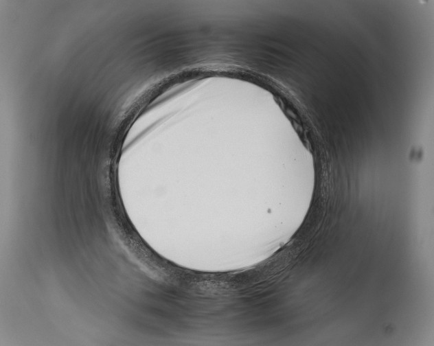 X0000113990535200911131120