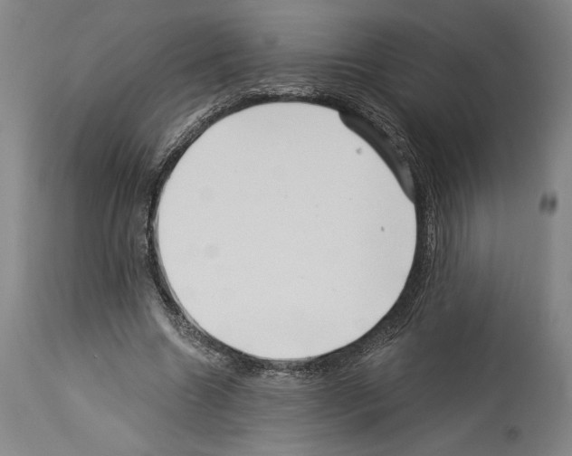 X0000113990538200911131120