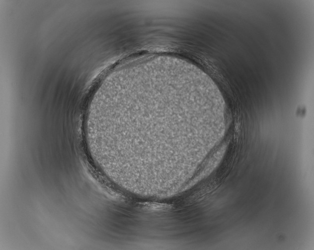 X0000113990539200911131120