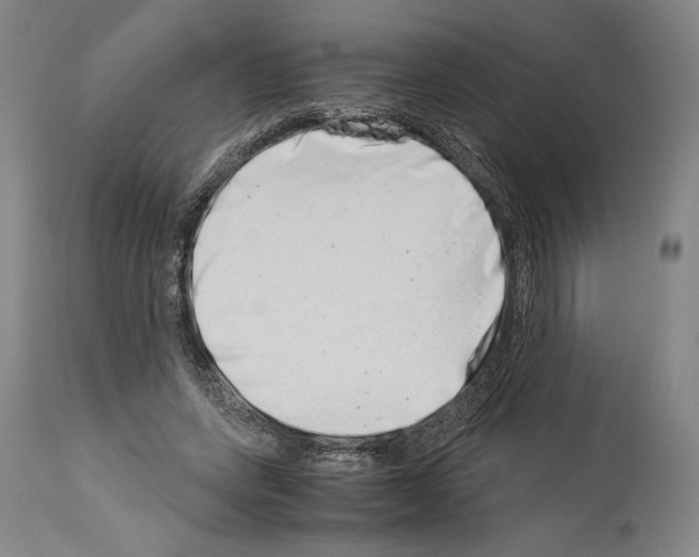 X0000113990543200911131120