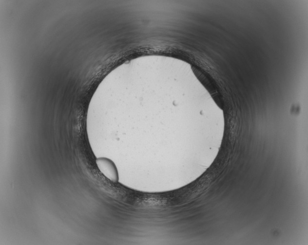 X0000113990546200911131120