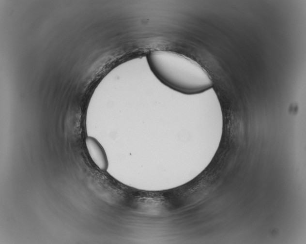 X0000113990548200911131120