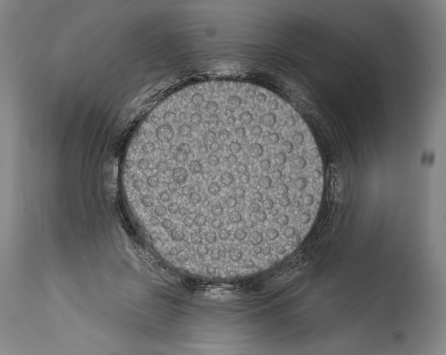 X0000113990550200911131120