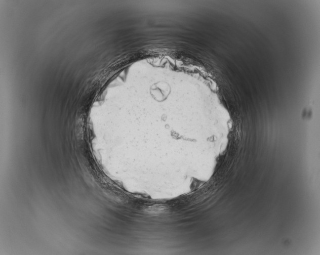 X0000113990551200911131120