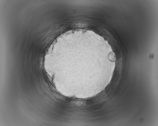 X0000113990553200911131120