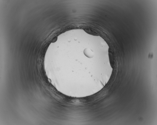 X0000113990558200911131120