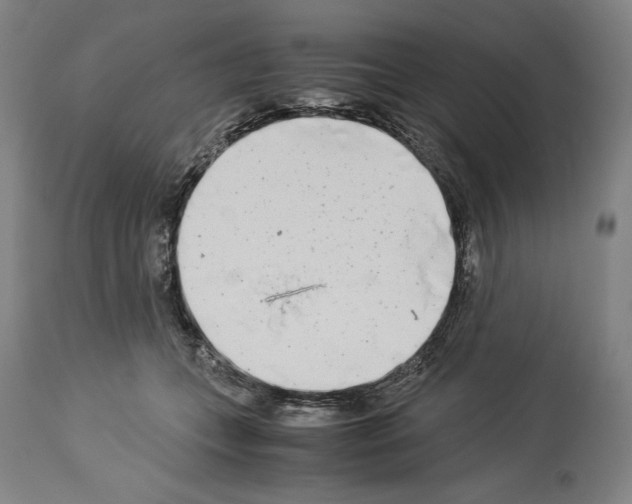 X0000113990559200911131120