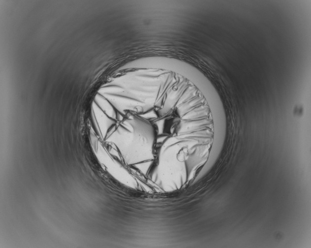 X0000113990560200911131120