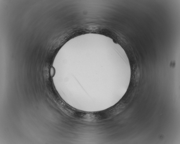 X0000113990562200911131120