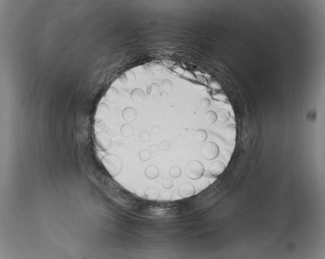 X0000113990563200911131120