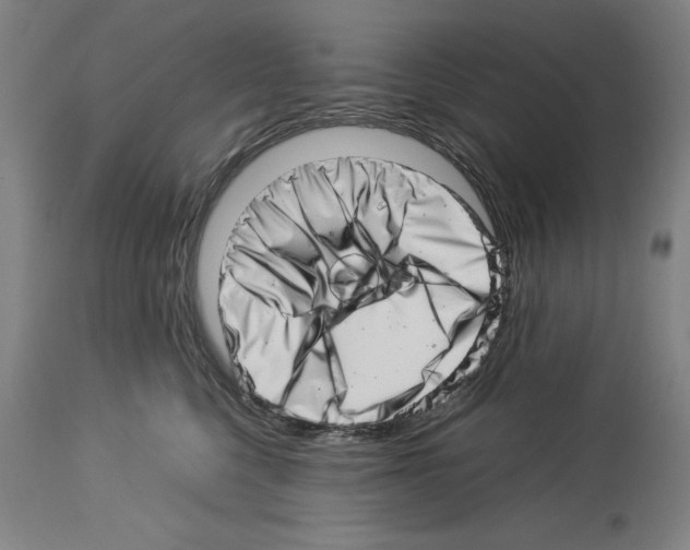 X0000113990568200911131120