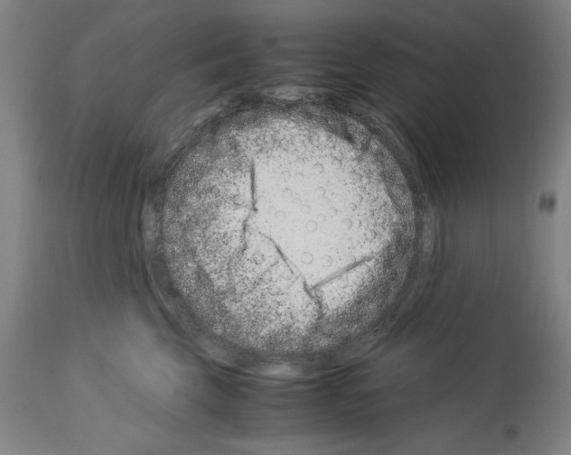 X0000113990569200911131121