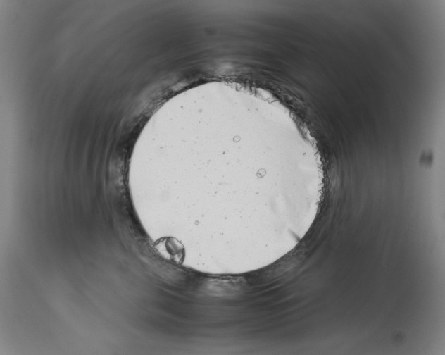 X0000113990571200911131121