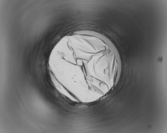 X0000113990572200911131121