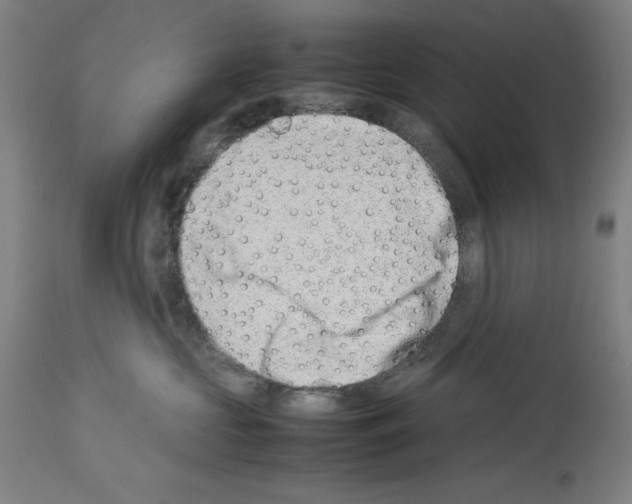 X0000113990573200911131121