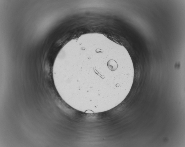 X0000113990574200911131121