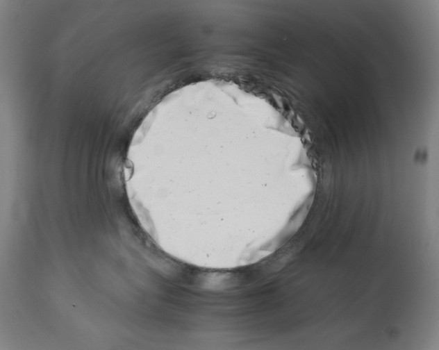 X0000113990575200911131121