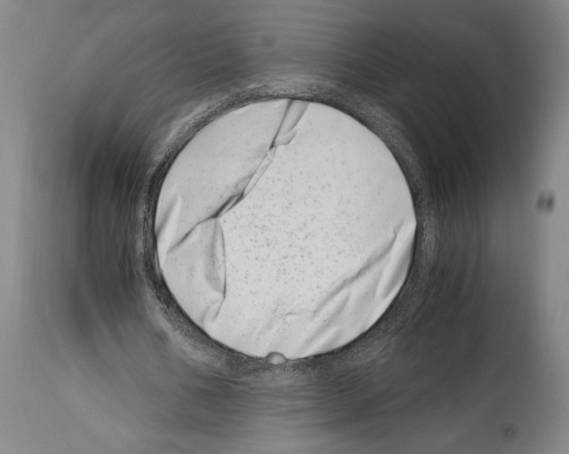 X0000113990578200911131120