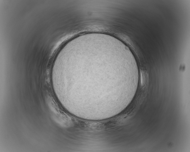 X0000113990579200911131120