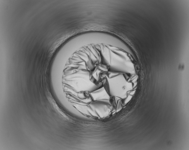 X0000113990581200911131120