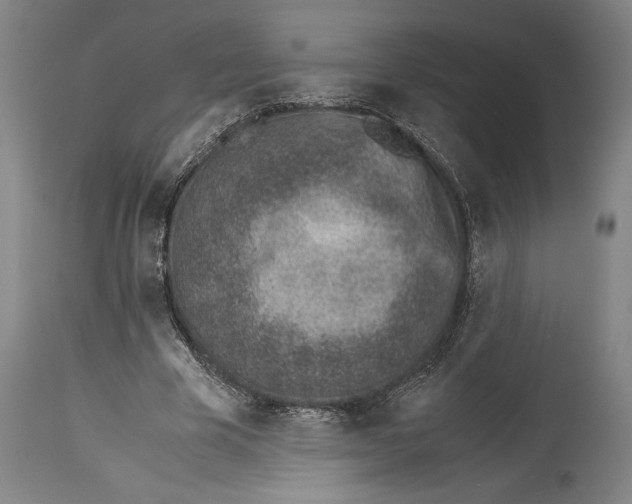 X0000113990585200911131120