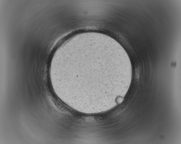 X0000113990588200911131120