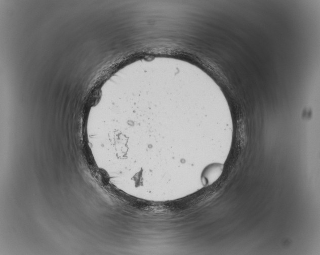 X0000113990589200911131120