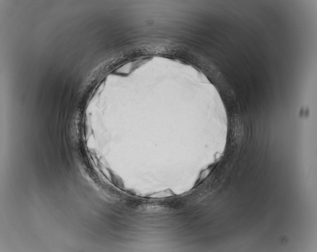 X0000113990590200911131120