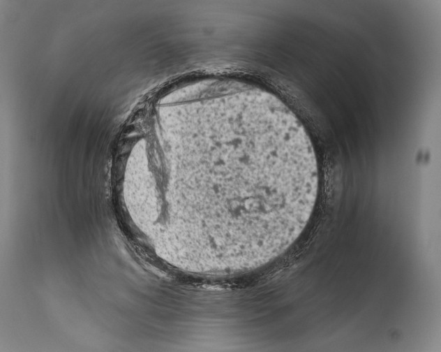 X0000113990592200911131120