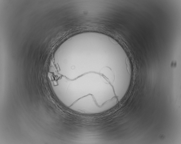 X0000113990593200911131120